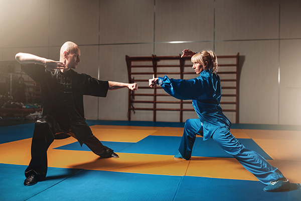 Immagine-della-disciplina-Kung-Fu-del-Ronin-di-Monza