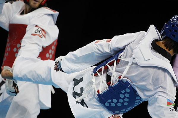 Immagine-della-disciplina-del-Taekwondo-per-il-Ronin-Monza